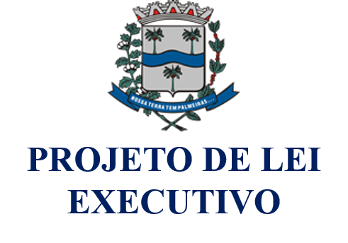 EXECUTIVO